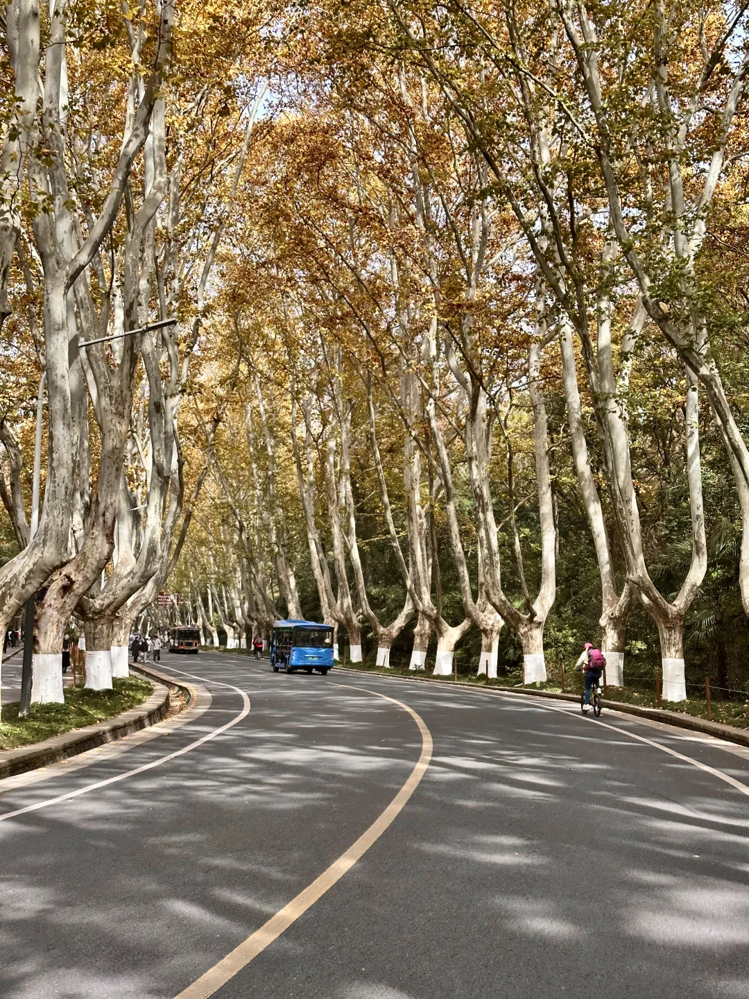 去完这6个地方！！！再离开秋冬的南京𓍊🌰🐿️