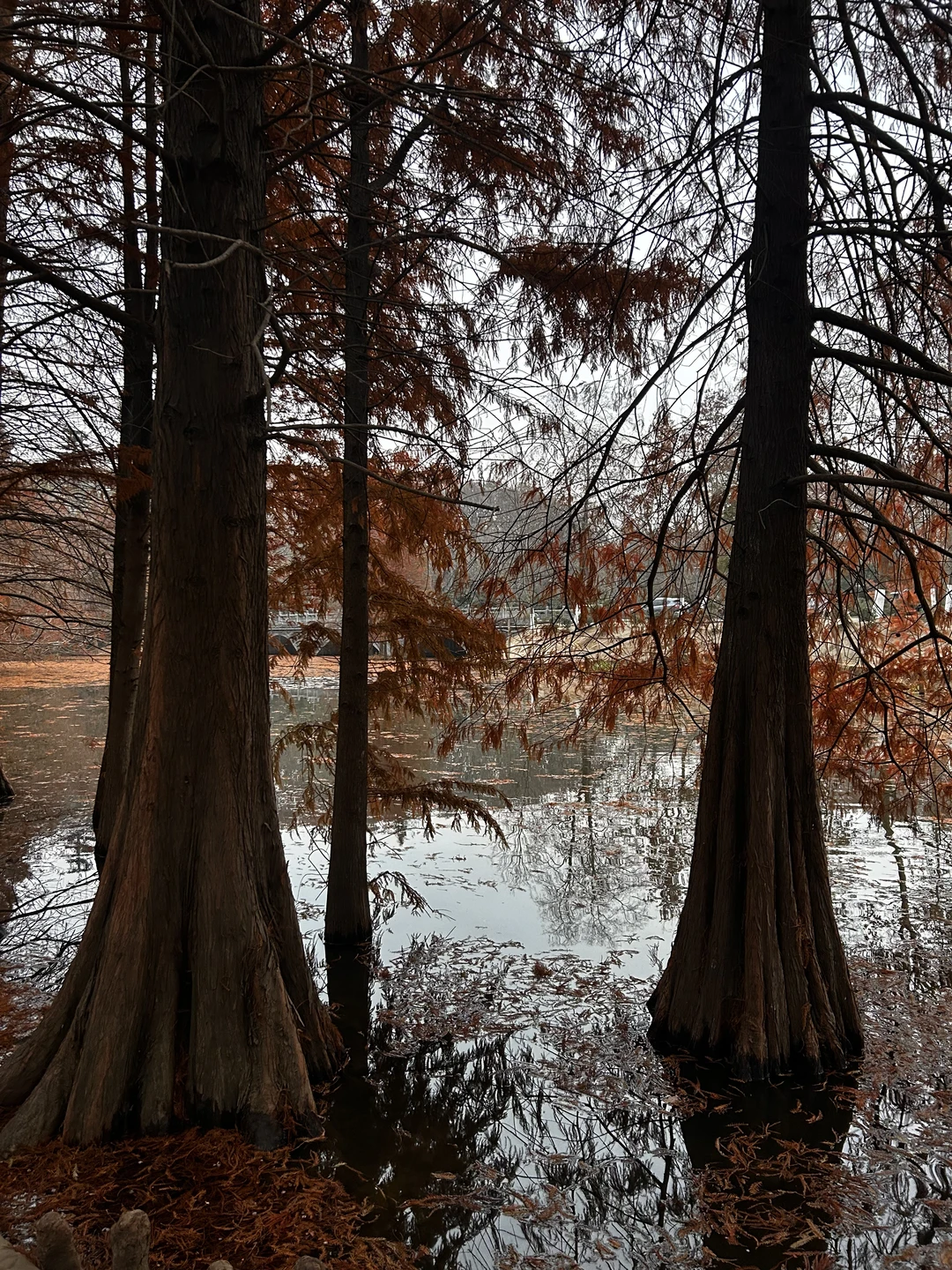 12.23 南京明孝陵