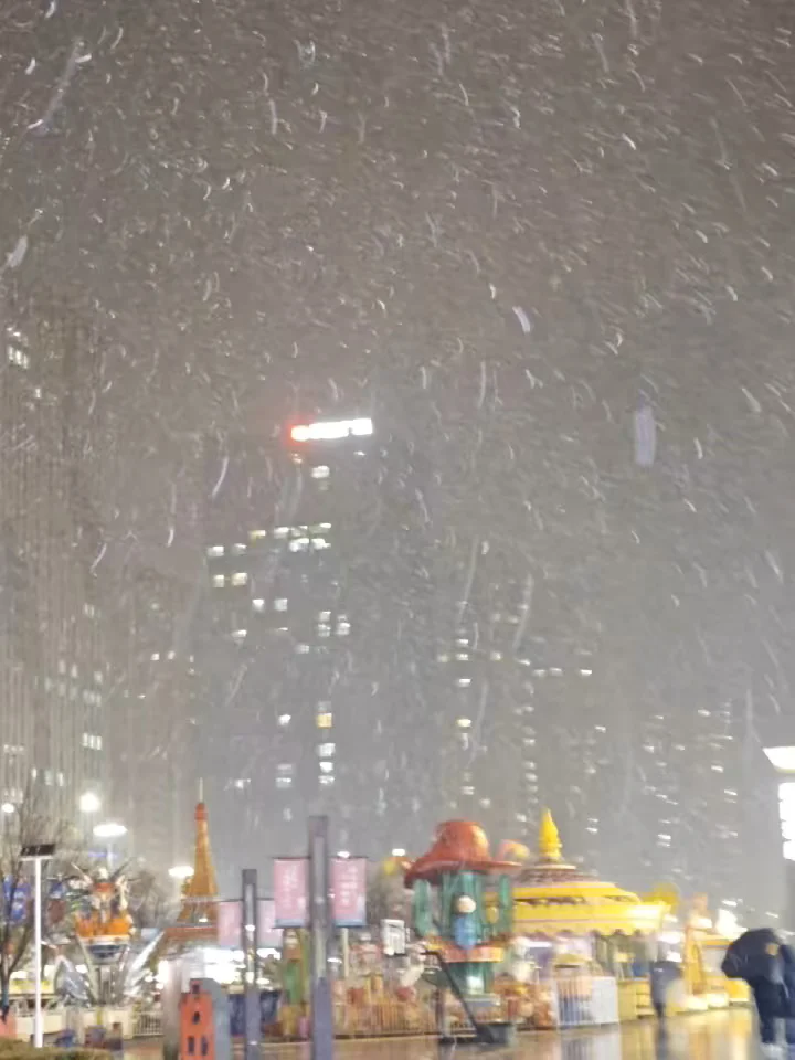 昨晚下雪的徐州美爆了❄️