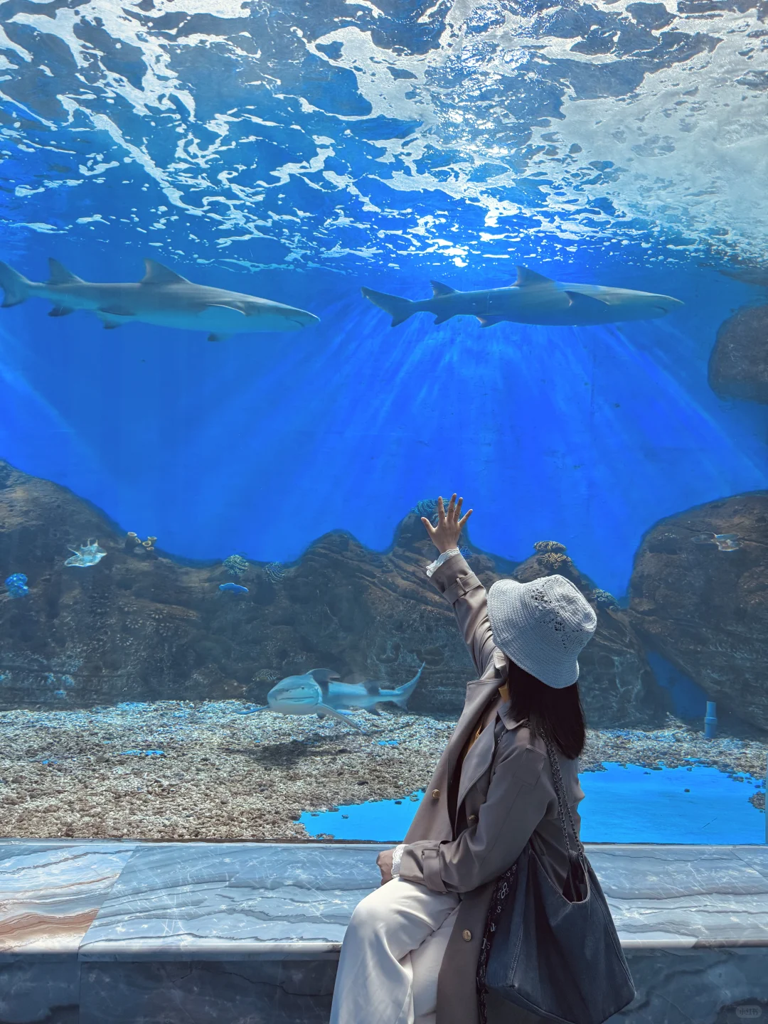 南京1.5h🚄徐州这个海底世界🐟🫧……封神了！！