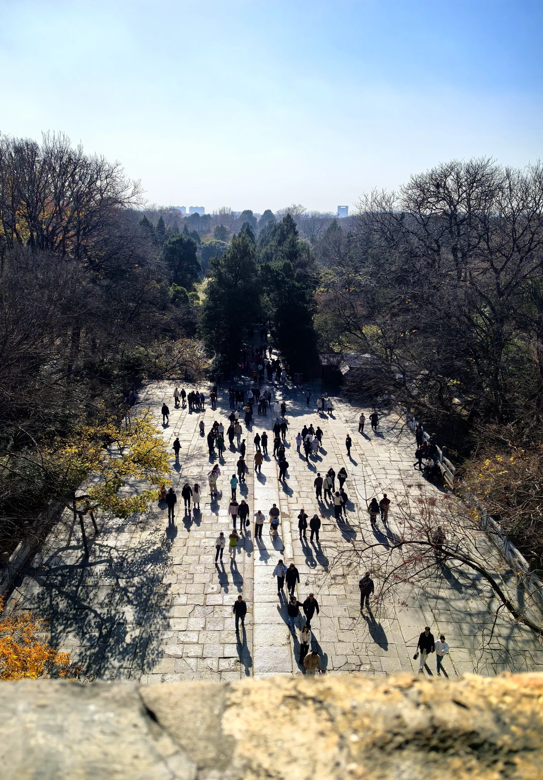 冬季的南京🍁好美