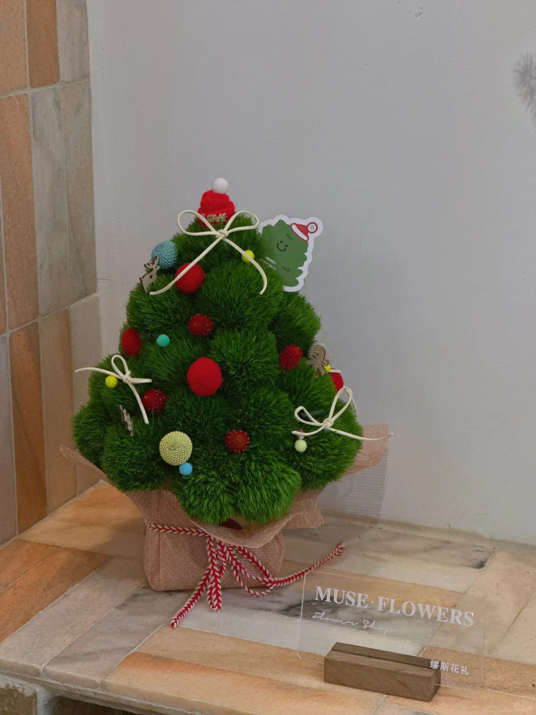 可可爱爱的圣诞树🎄✨｜南京同城配送