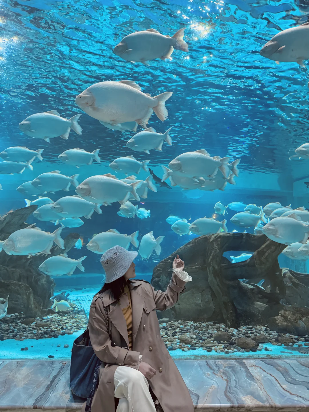 南京1.5h🚄徐州这个海底世界🐟🫧……封神了！！