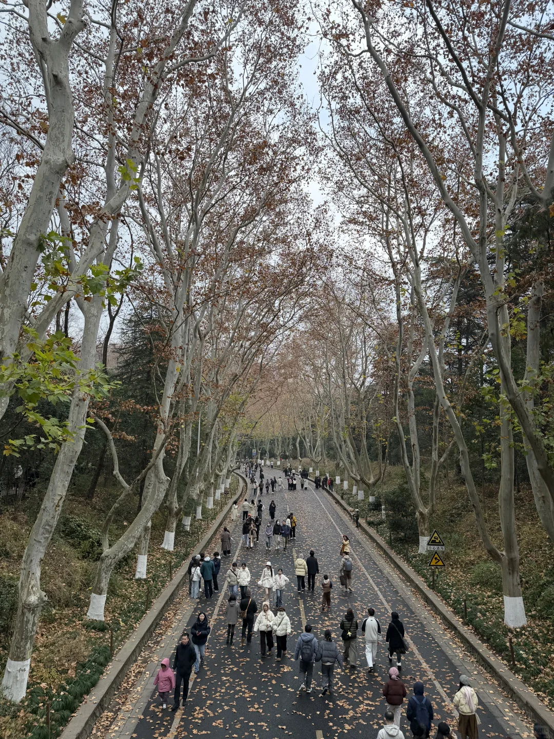 秋季一过真的别来南京了