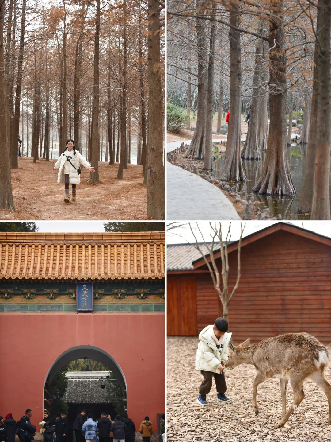 刚带娃从南京回来，只想说点大实话……