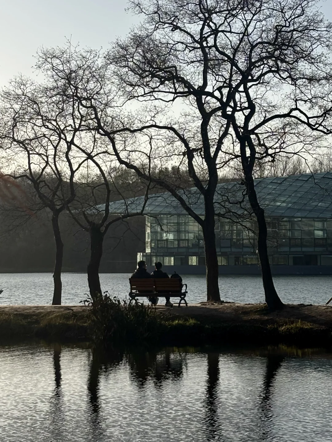 12月的南京真的很美🪹🪾