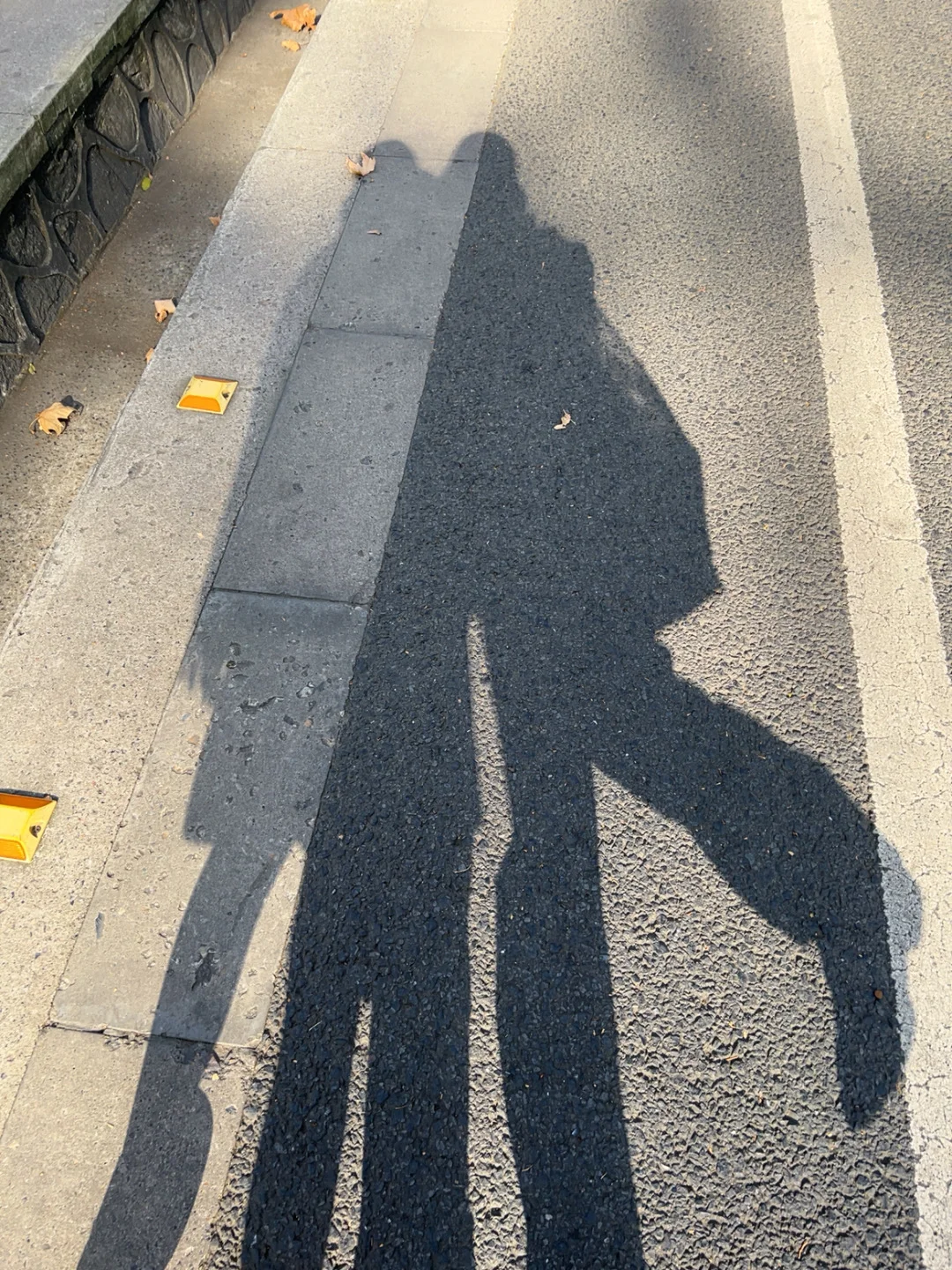 在南京咔咔一顿拍🍂