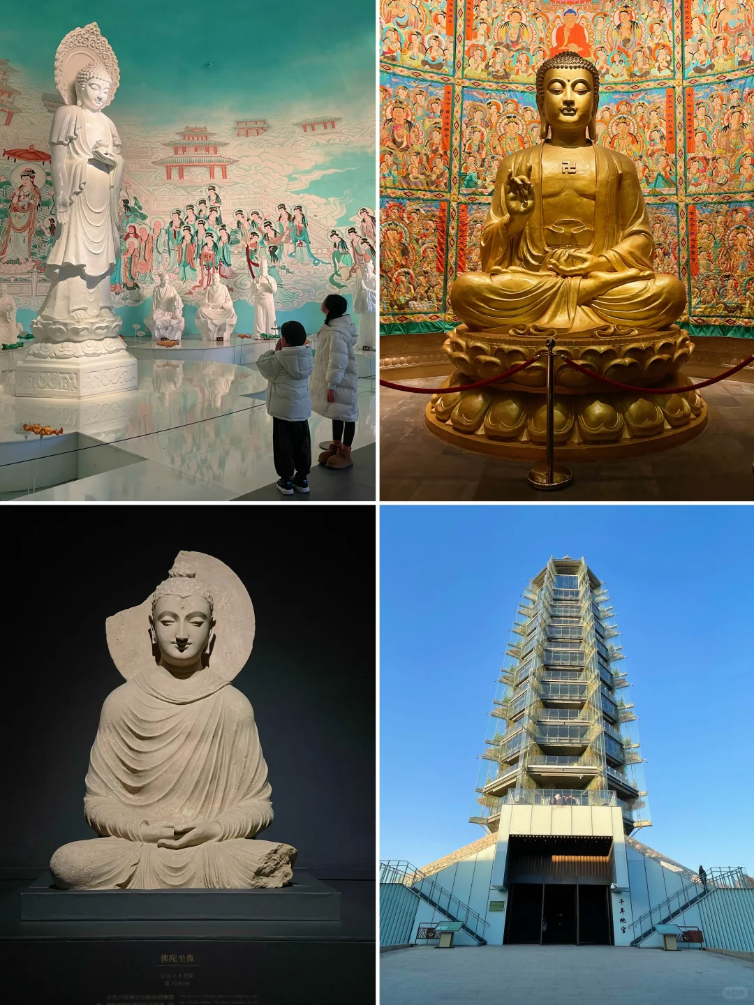 刚带娃从南京回来，只想说点大实话……