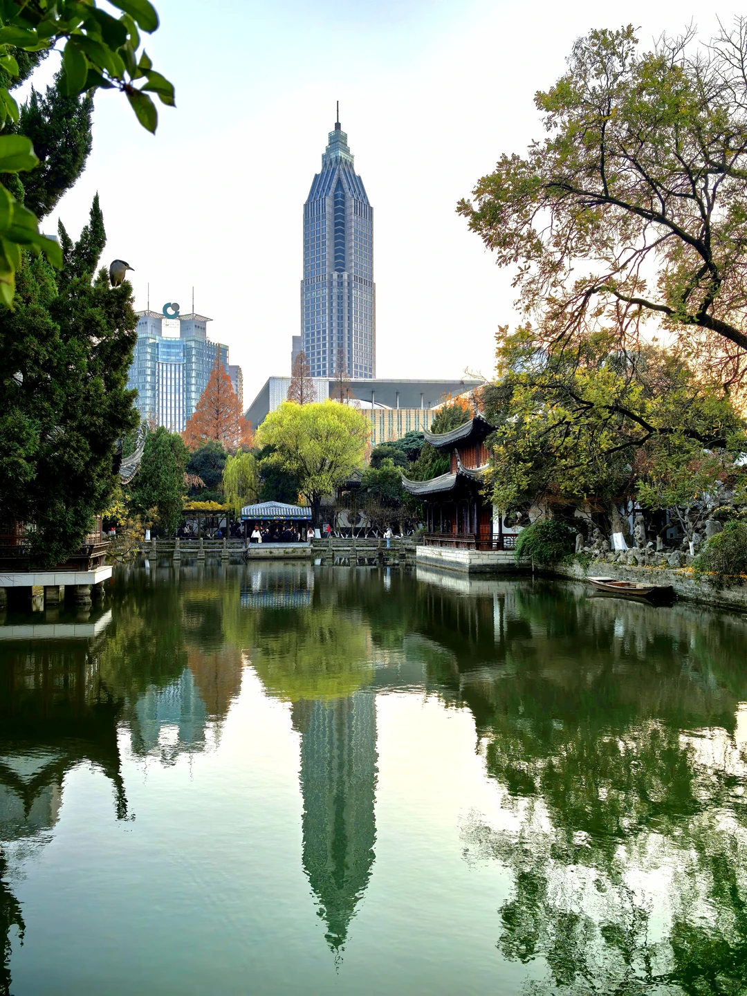 冬季的南京🍁好美