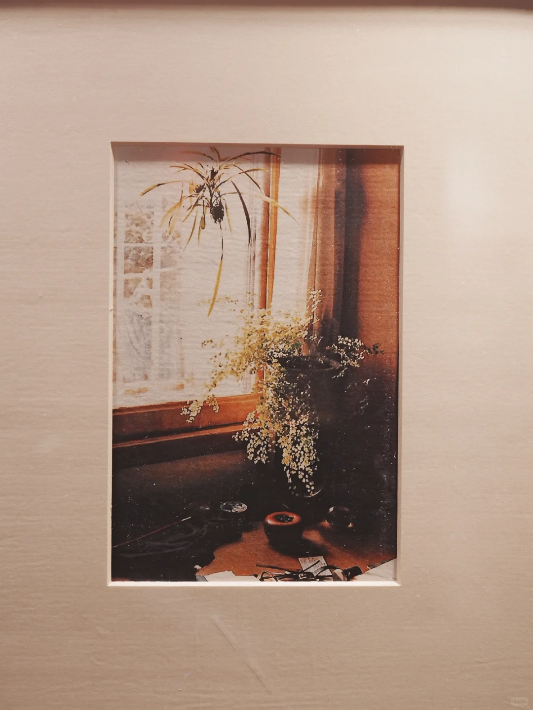 南京博物院|旅游参观路线及吃瓜碎碎念