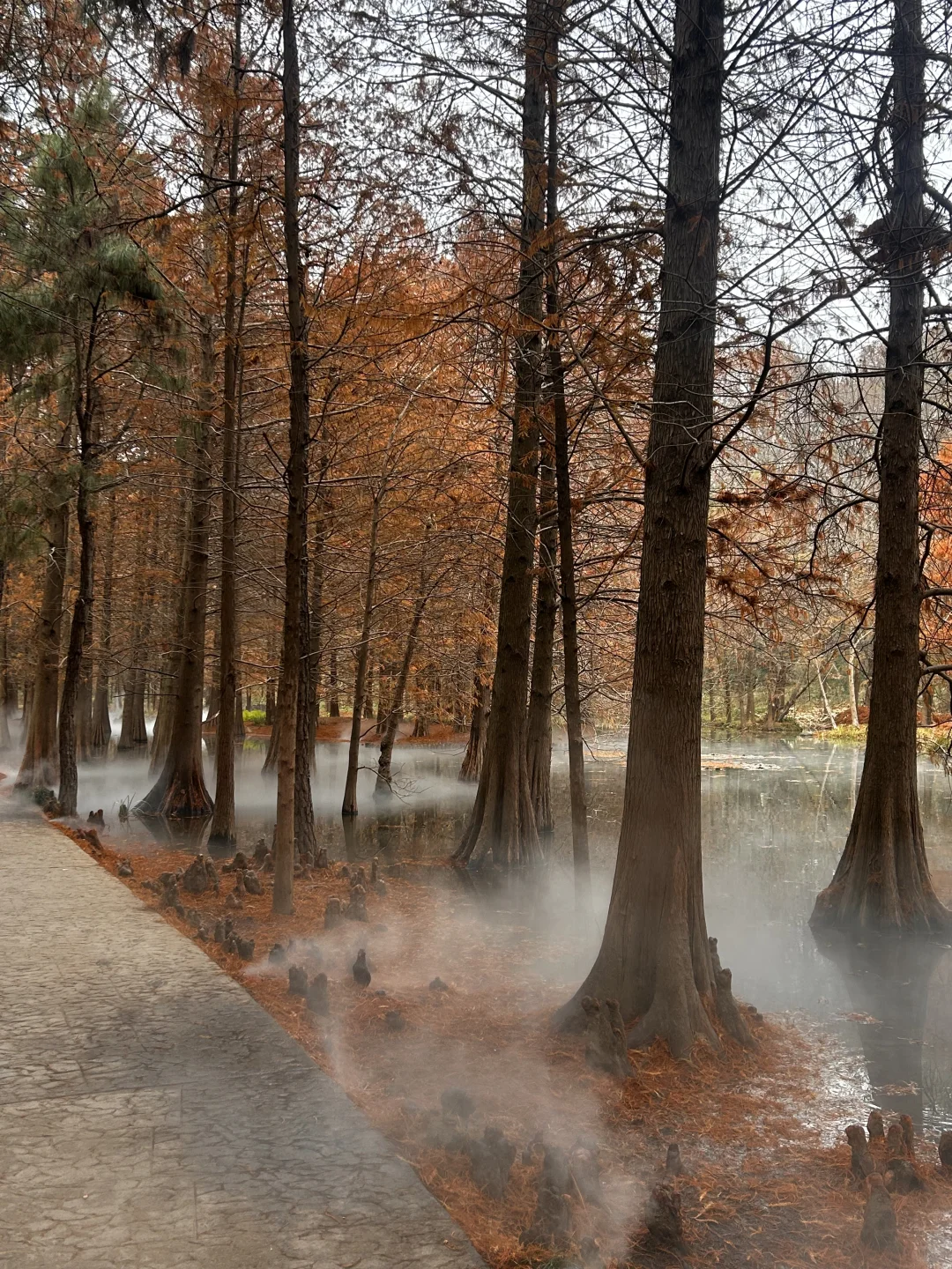 12.23 南京明孝陵