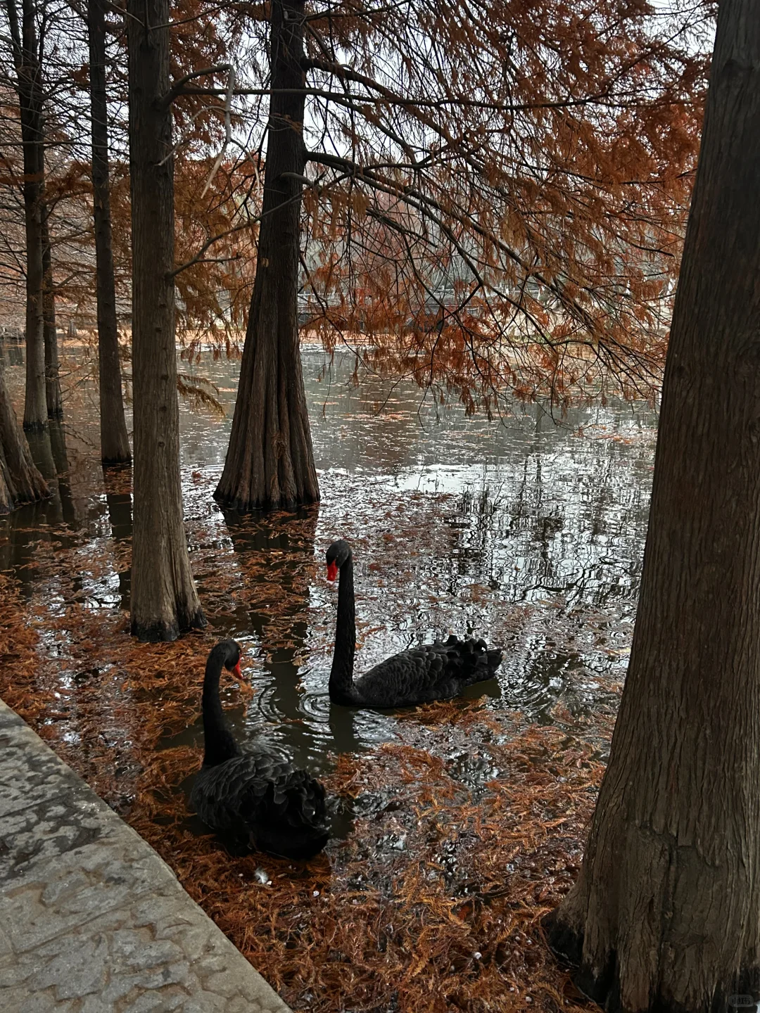 12.23 南京明孝陵