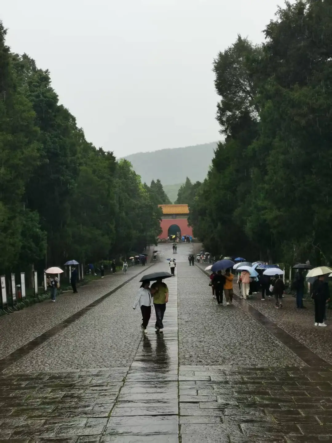 明孝陵的磁场很干净舒服