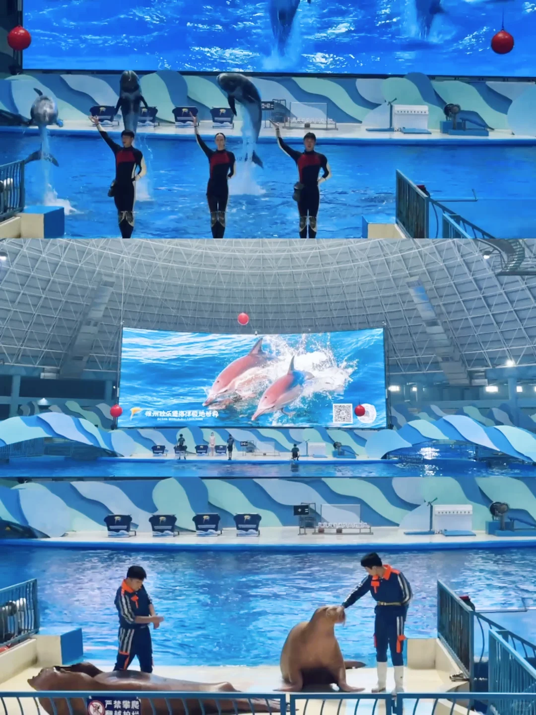 南京1.5h🚄徐州这个海底世界🐟🫧……封神了！！