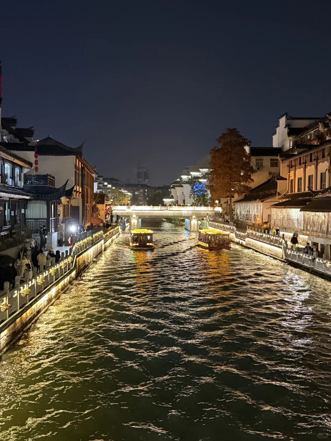 秋季一过真的别来南京了