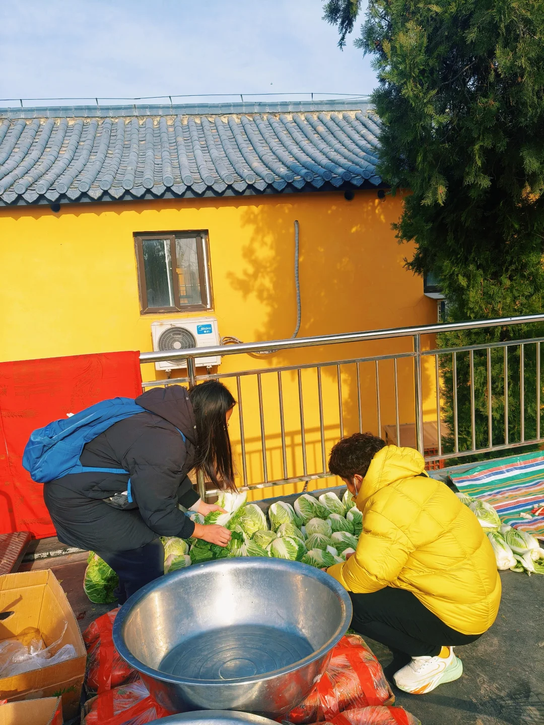 徐州公益｜🎋竹林寺做义工🎍