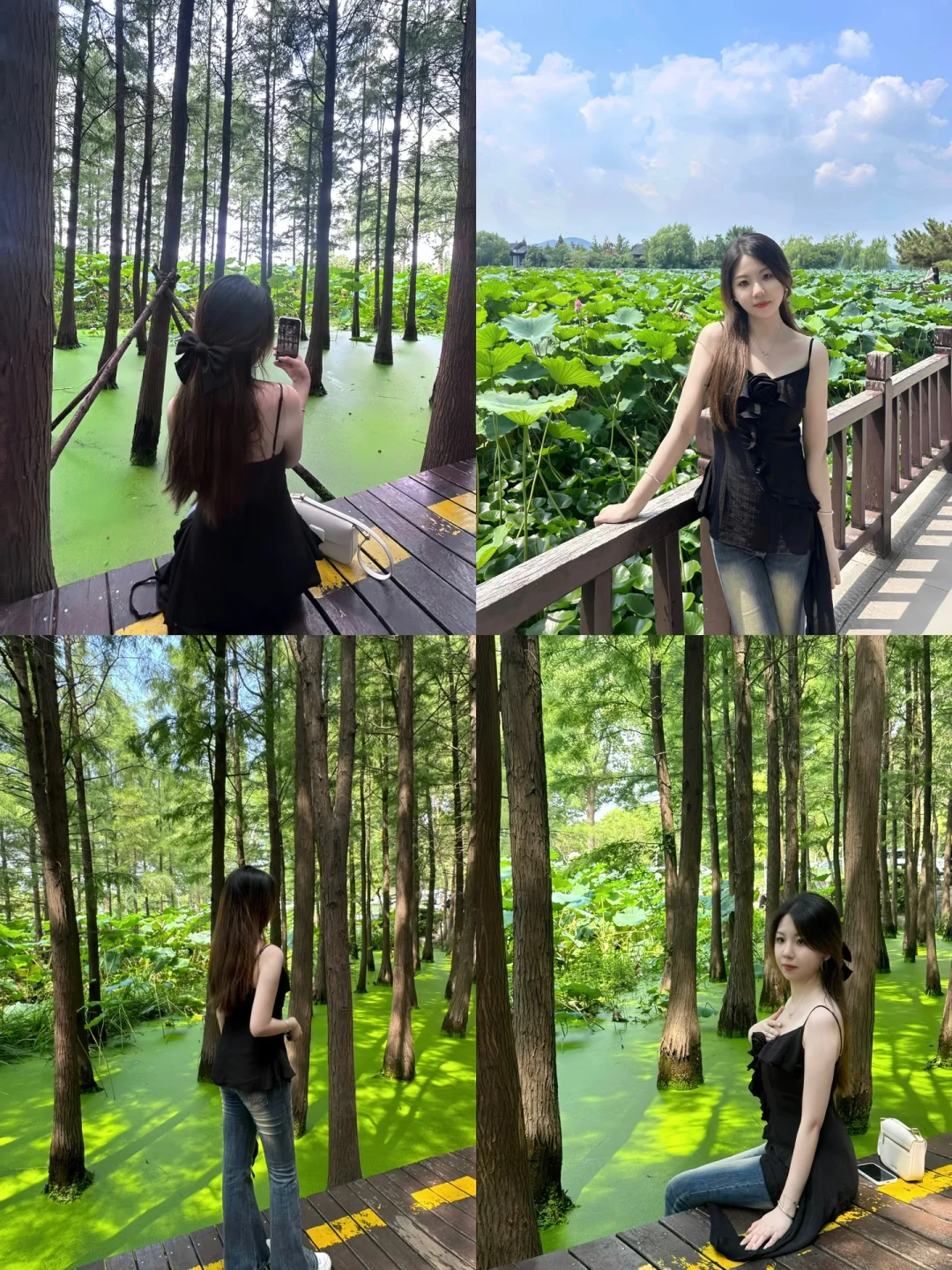 徐州Plog🌳