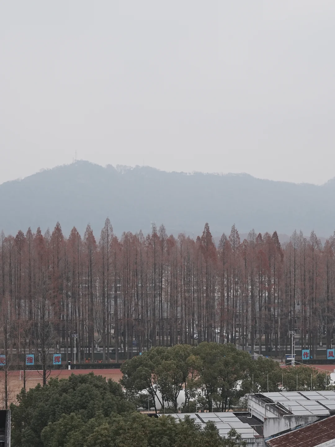 南京博物院|旅游参观路线及吃瓜碎碎念