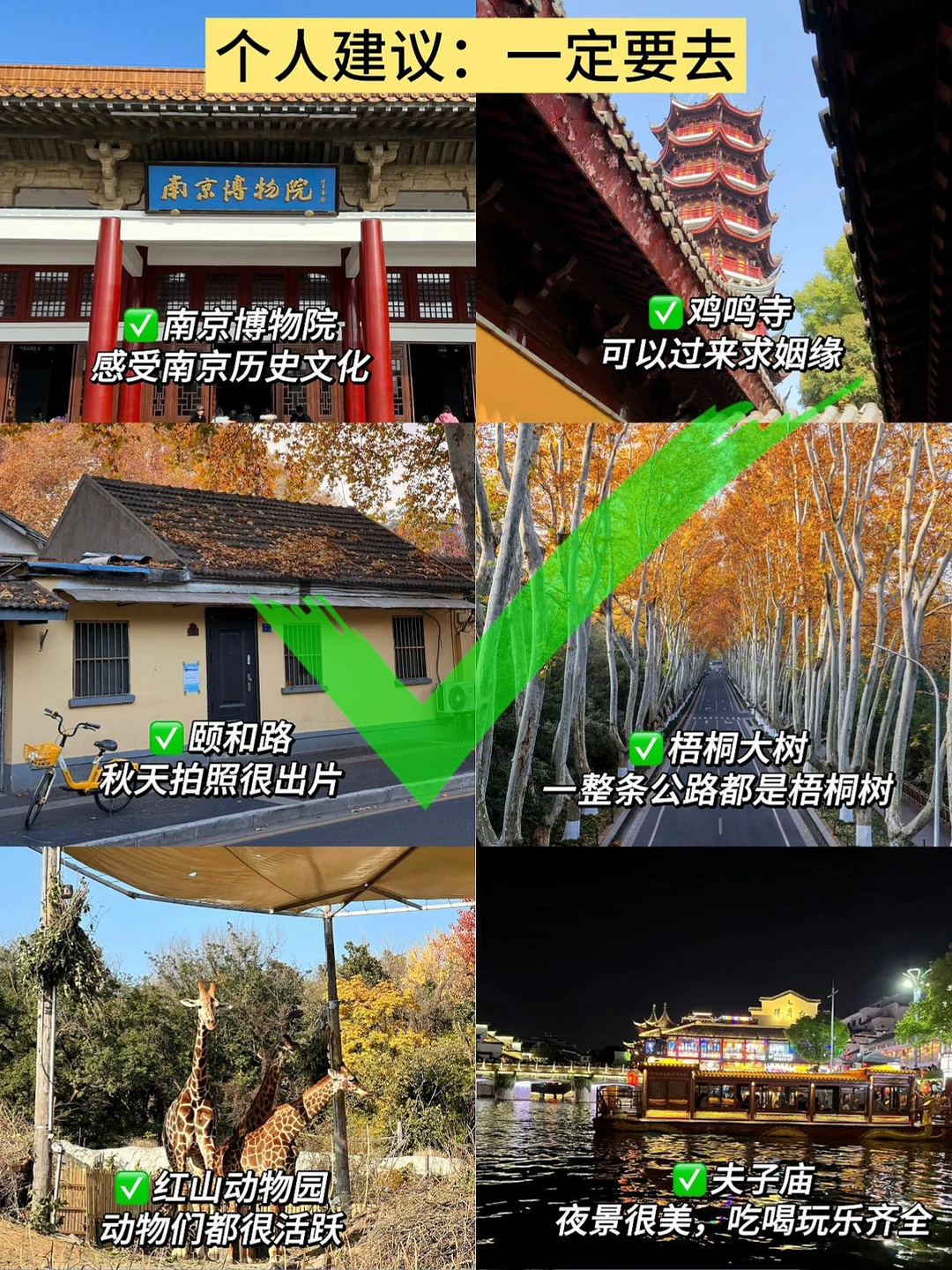 南京庆三天已回。。（个人真实感受）