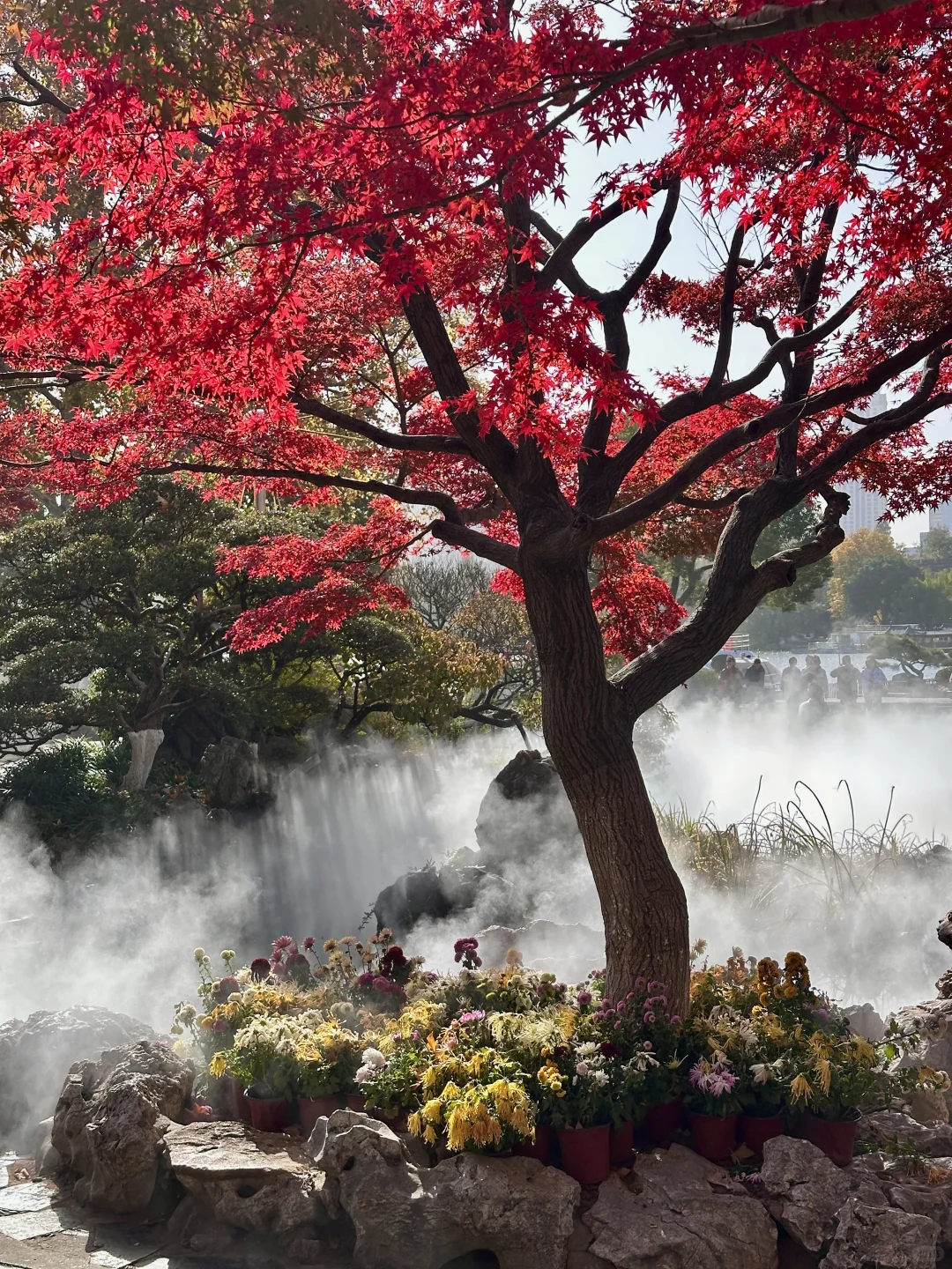 去完这6个地方！！！再离开秋冬的南京𓍊🌰🐿️