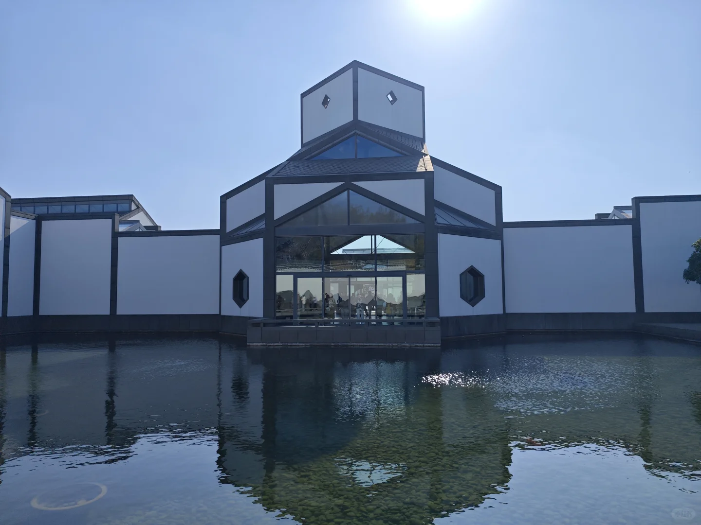 [ 南京]总统府的猫咪向你点了个赞