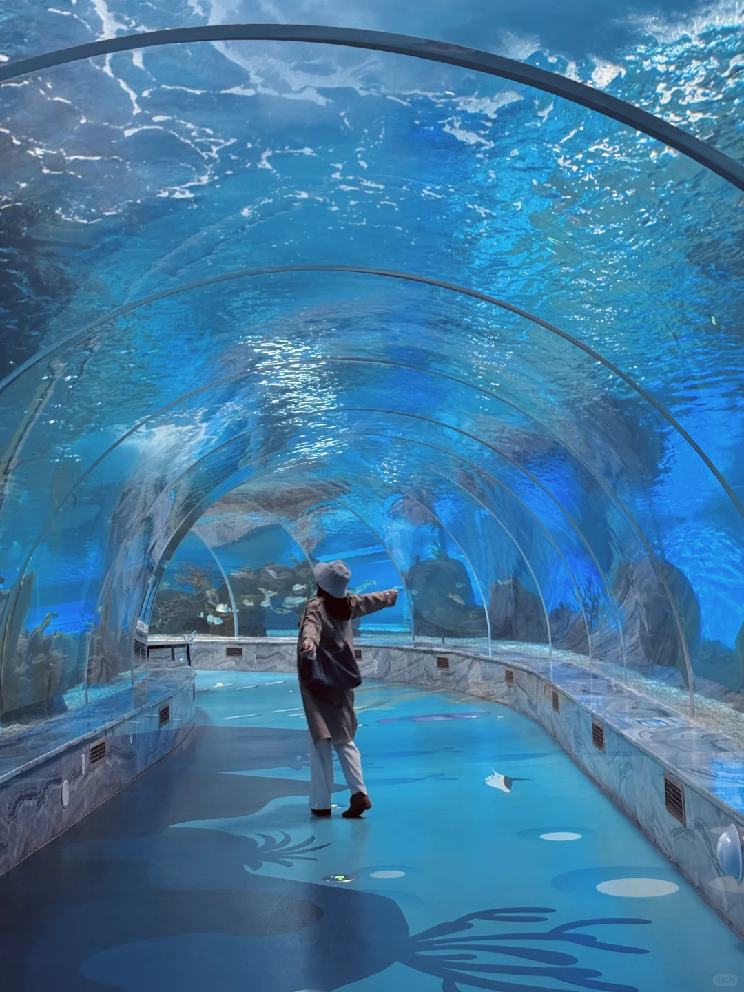南京1.5h🚄徐州这个海底世界🐟🫧……封神了！！
