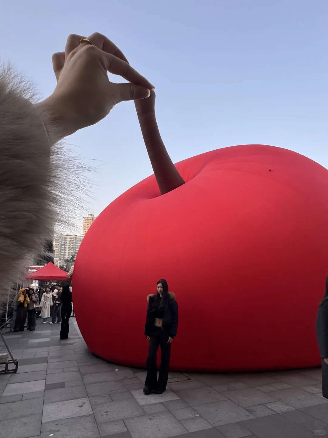 在徐州 文庙惊现大🍎 太好拍了！快来打卡！