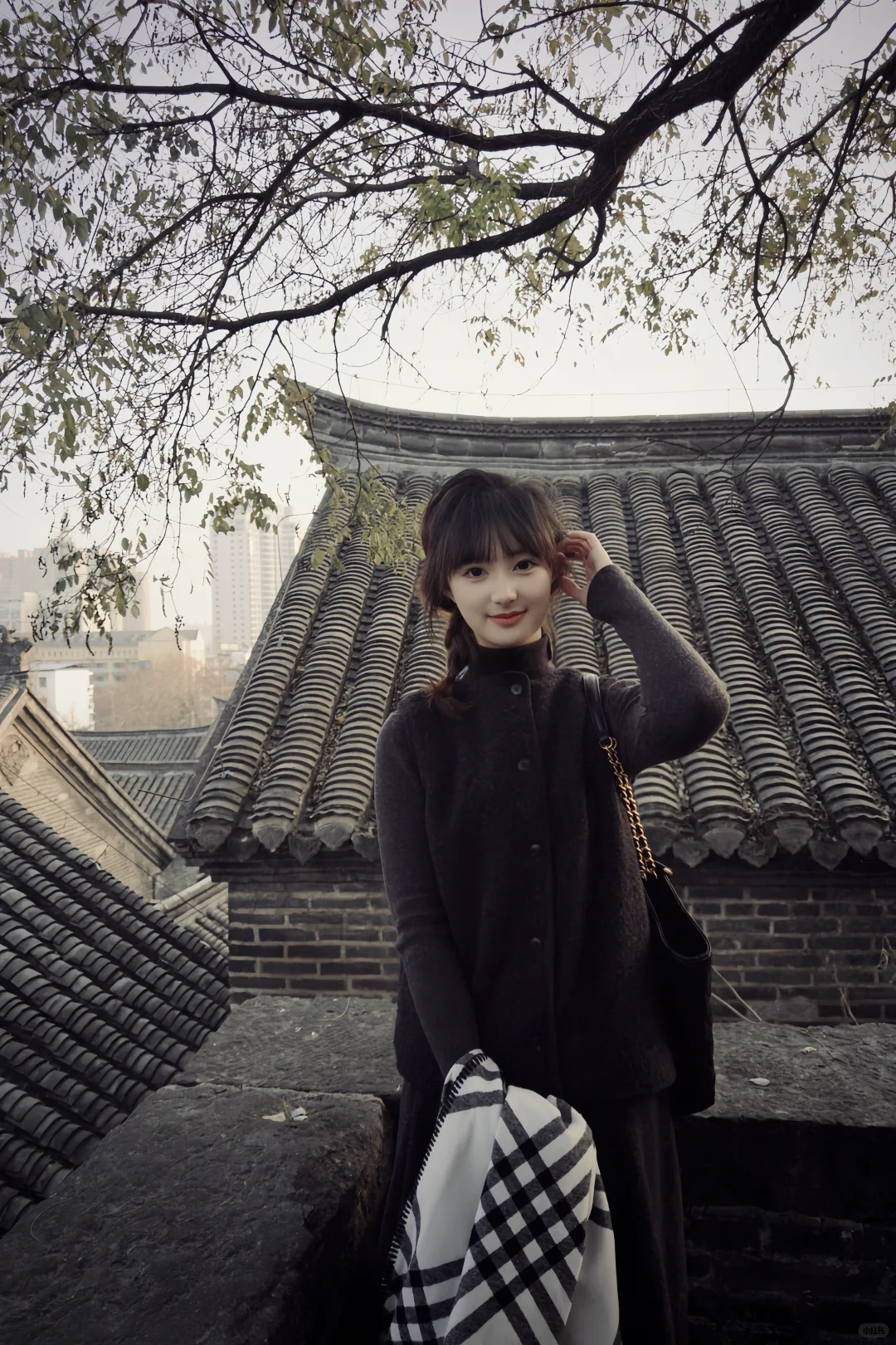 属于徐州自己的北平🍂