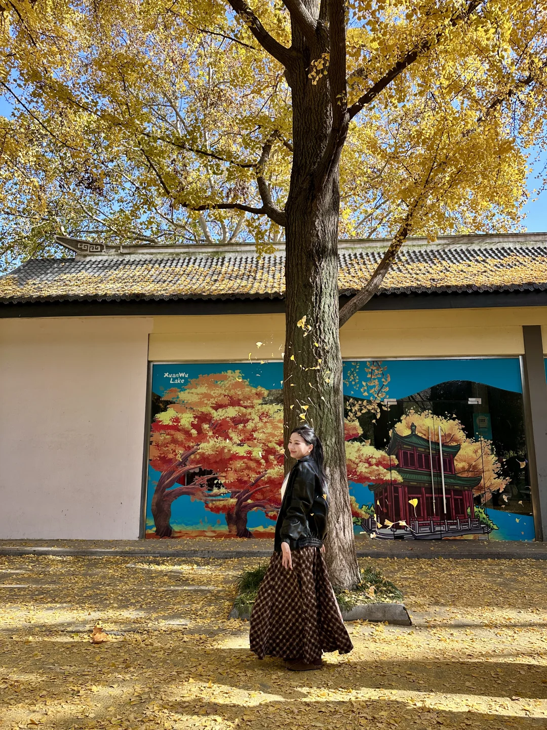 去完这6个地方！！！再离开秋冬的南京𓍊🌰🐿️