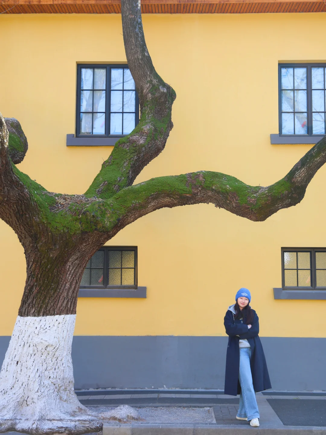 刚带娃从南京回来，只想说点大实话……