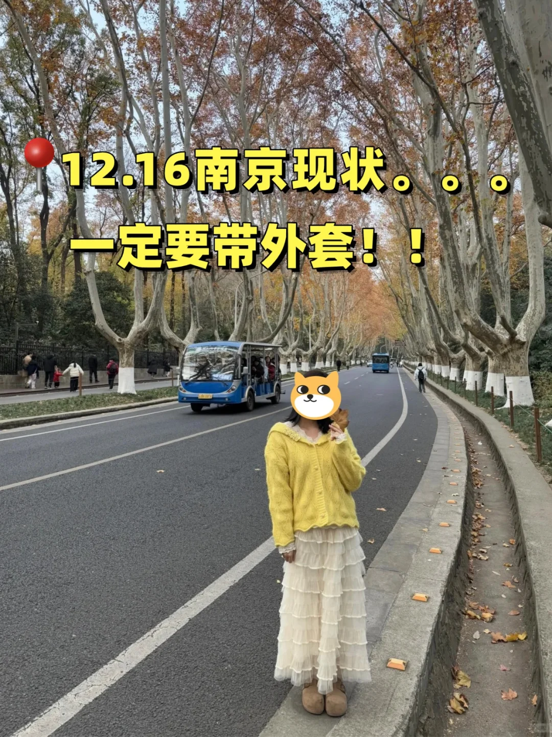 话虽难听。。但的确是南京旅游的现状。。。