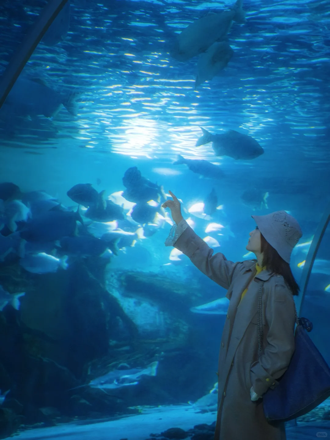 南京1.5h🚄徐州这个海底世界🐟🫧……封神了！！