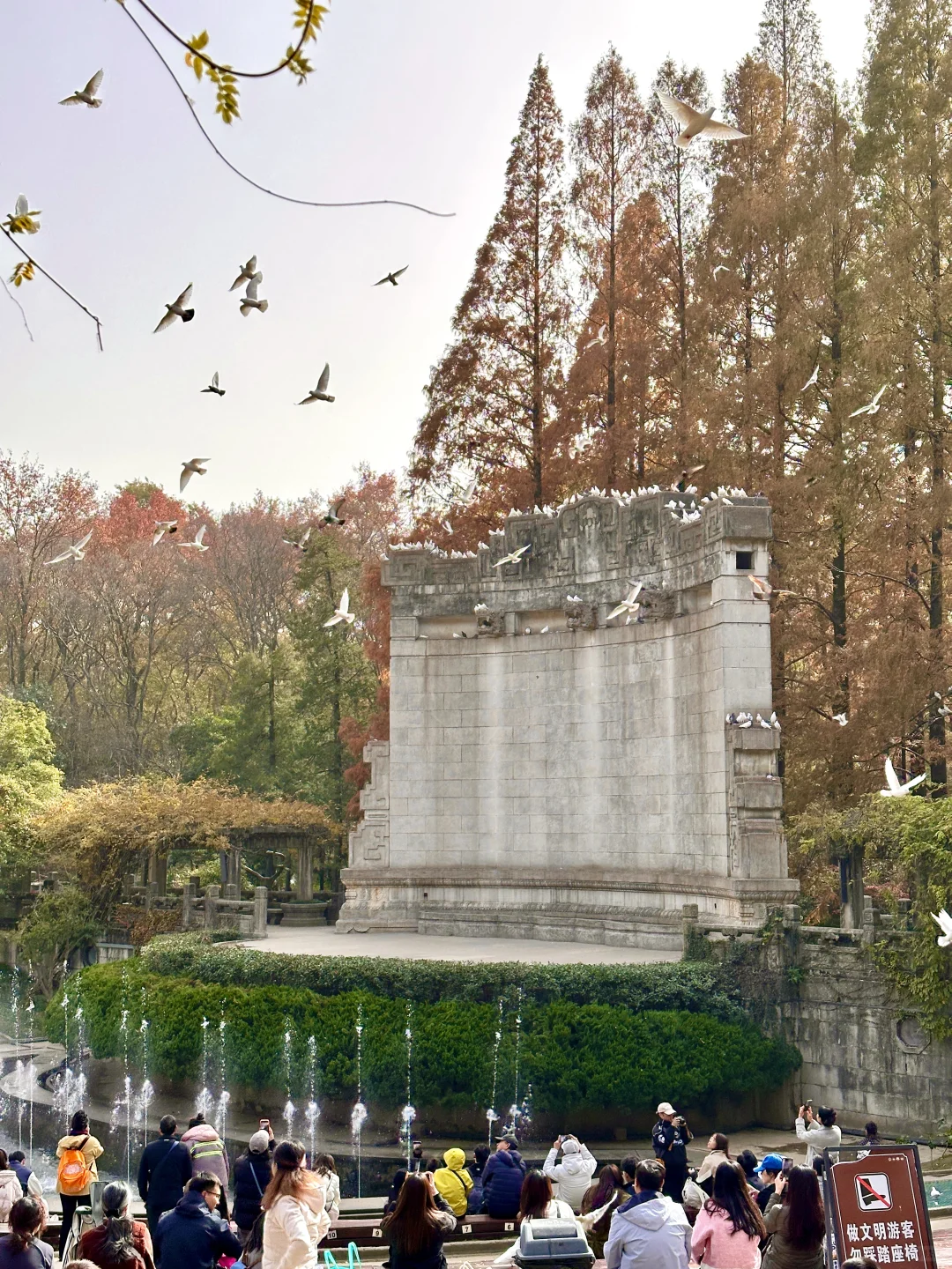 去完这6个地方！！！再离开秋冬的南京𓍊🌰🐿️