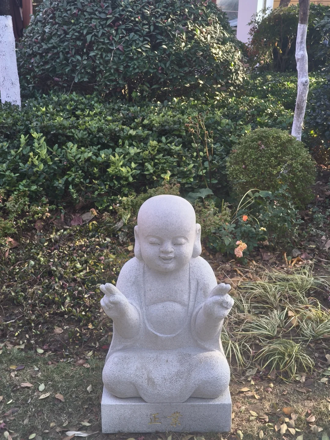 徐州公益｜宝莲寺做义工🏯