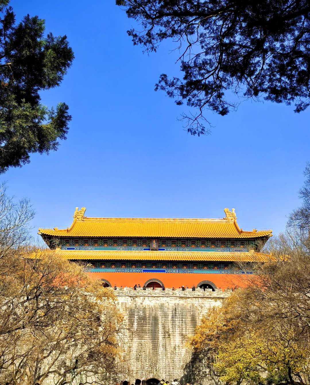 冬季的南京🍁好美