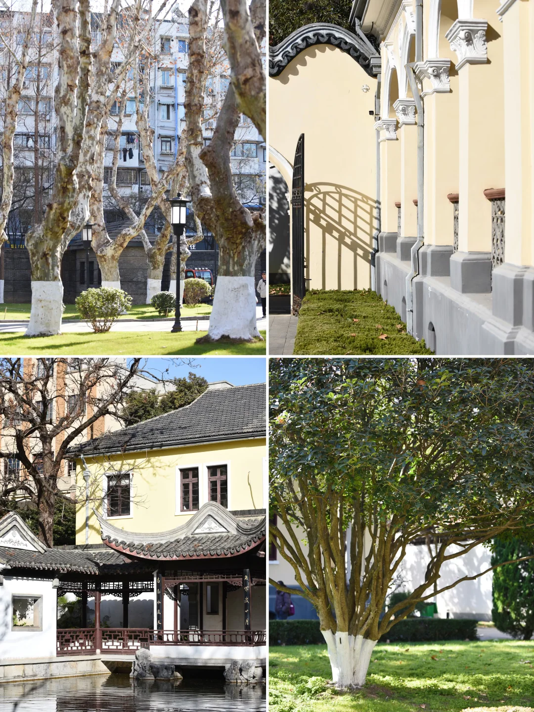 刚带娃从南京回来，只想说点大实话……