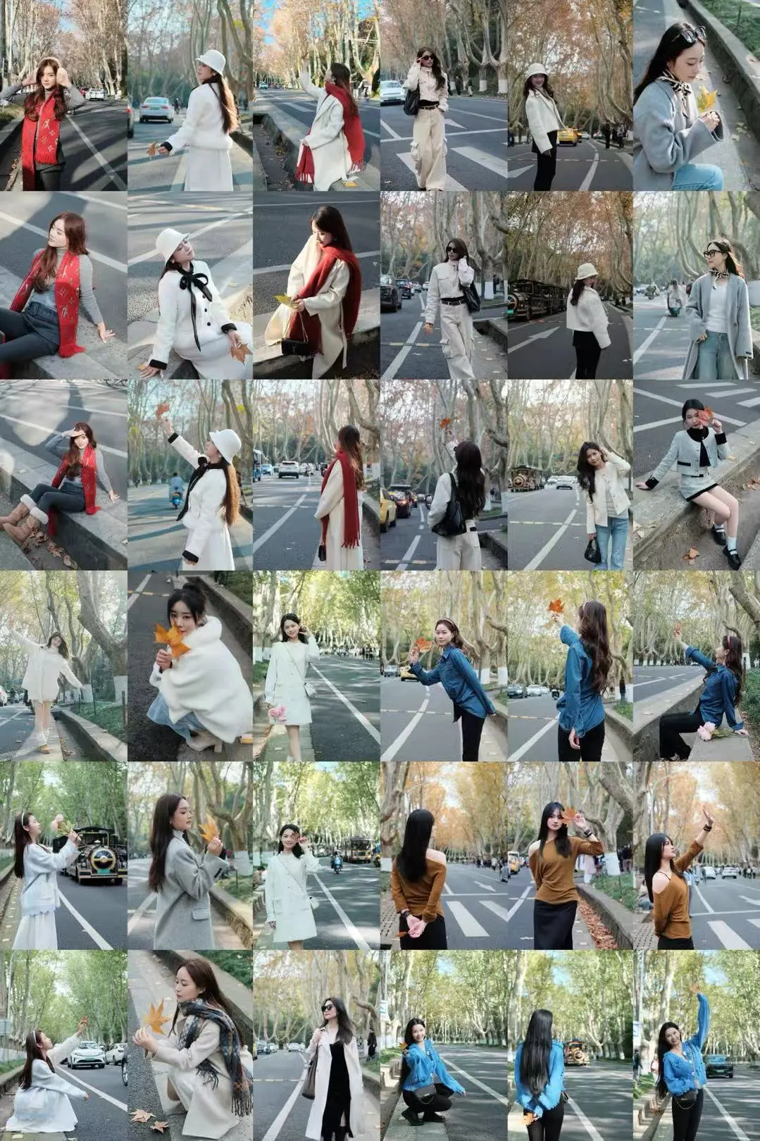 12.17梧桐大道落叶进度55% 实时游客穿搭