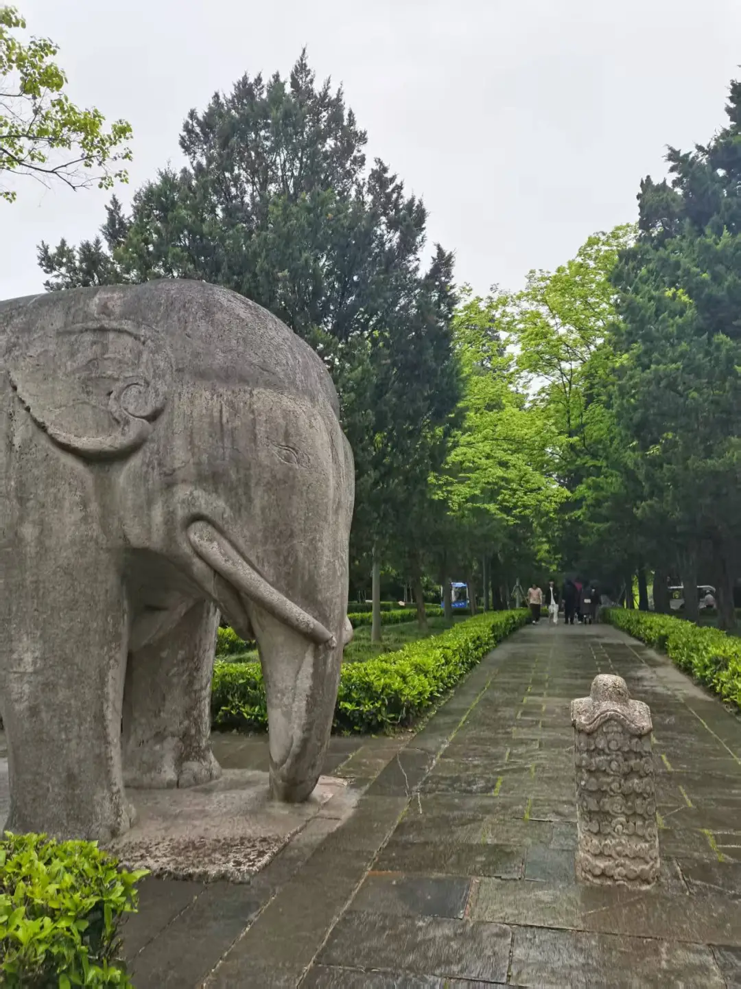 明孝陵的磁场很干净舒服