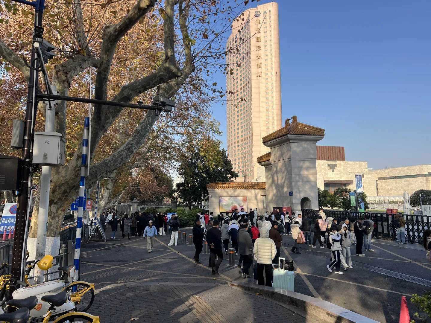 南京博物院2025年12月14日实况