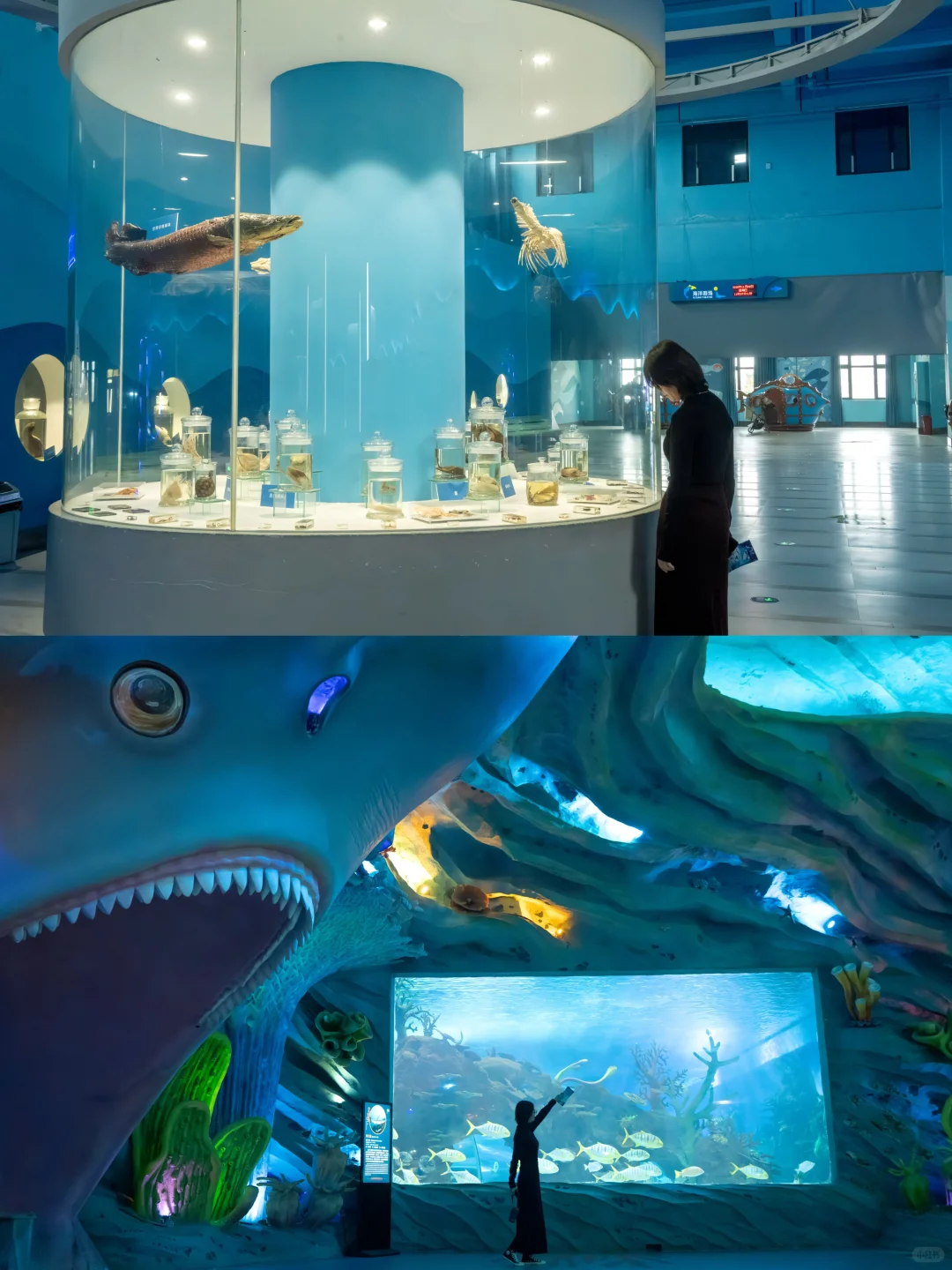 南京1.5h🚄徐州这个海底世界🐟🫧……封神了！！