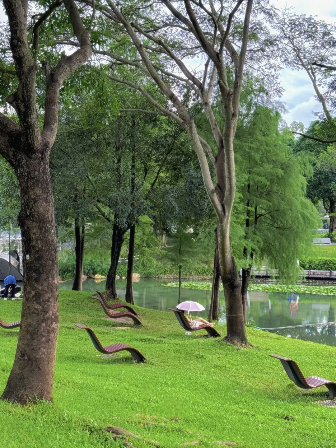 深圳最好的地方都是免费的。。。（附地址