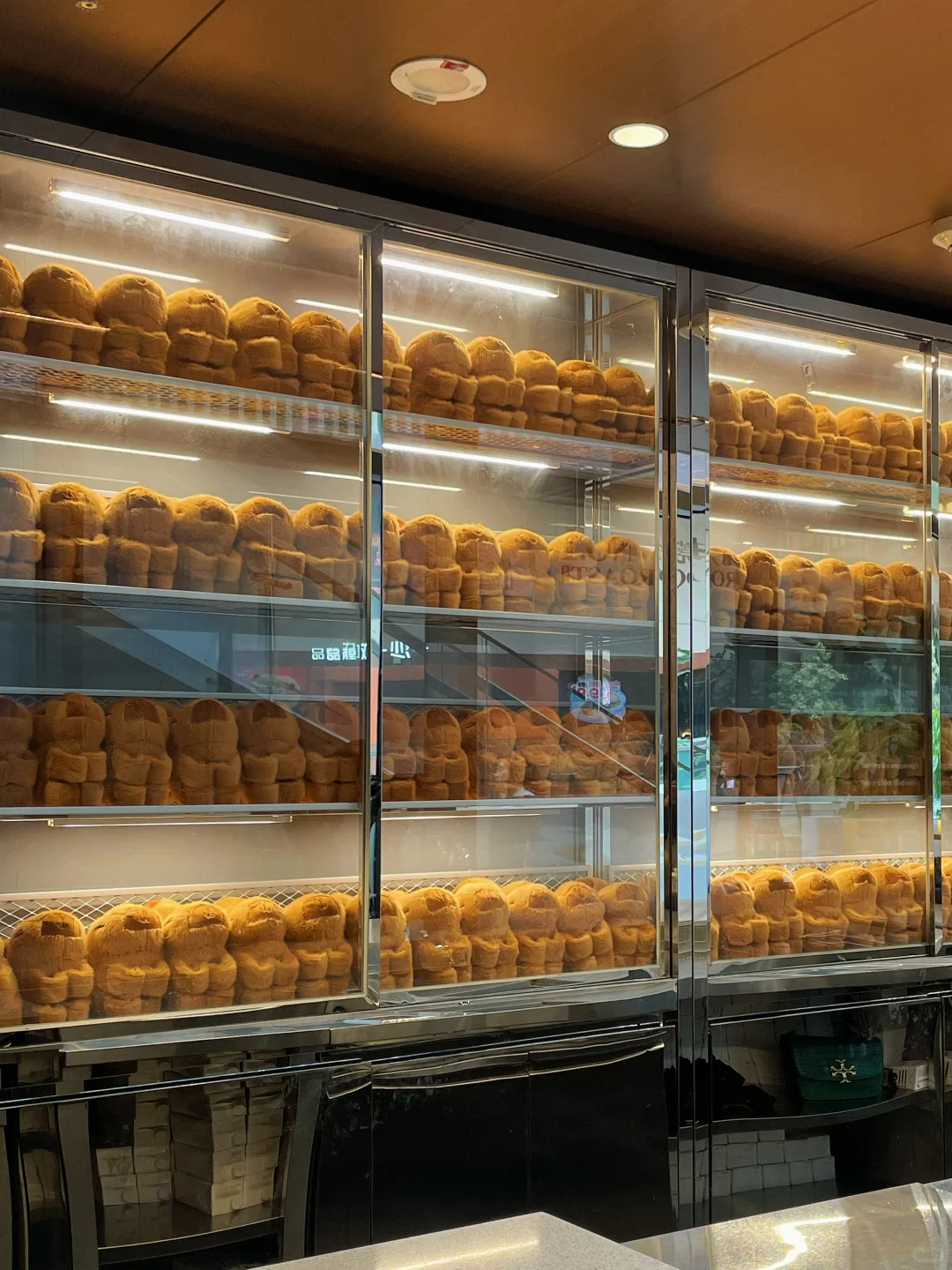 东莞首家！已爱上可可爱爱的卡皮巴拉☕️