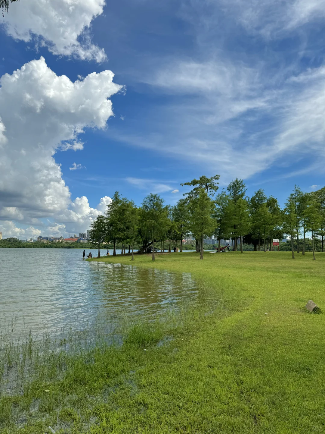 实况Live📷东莞这个值得N刷的公园太美了～