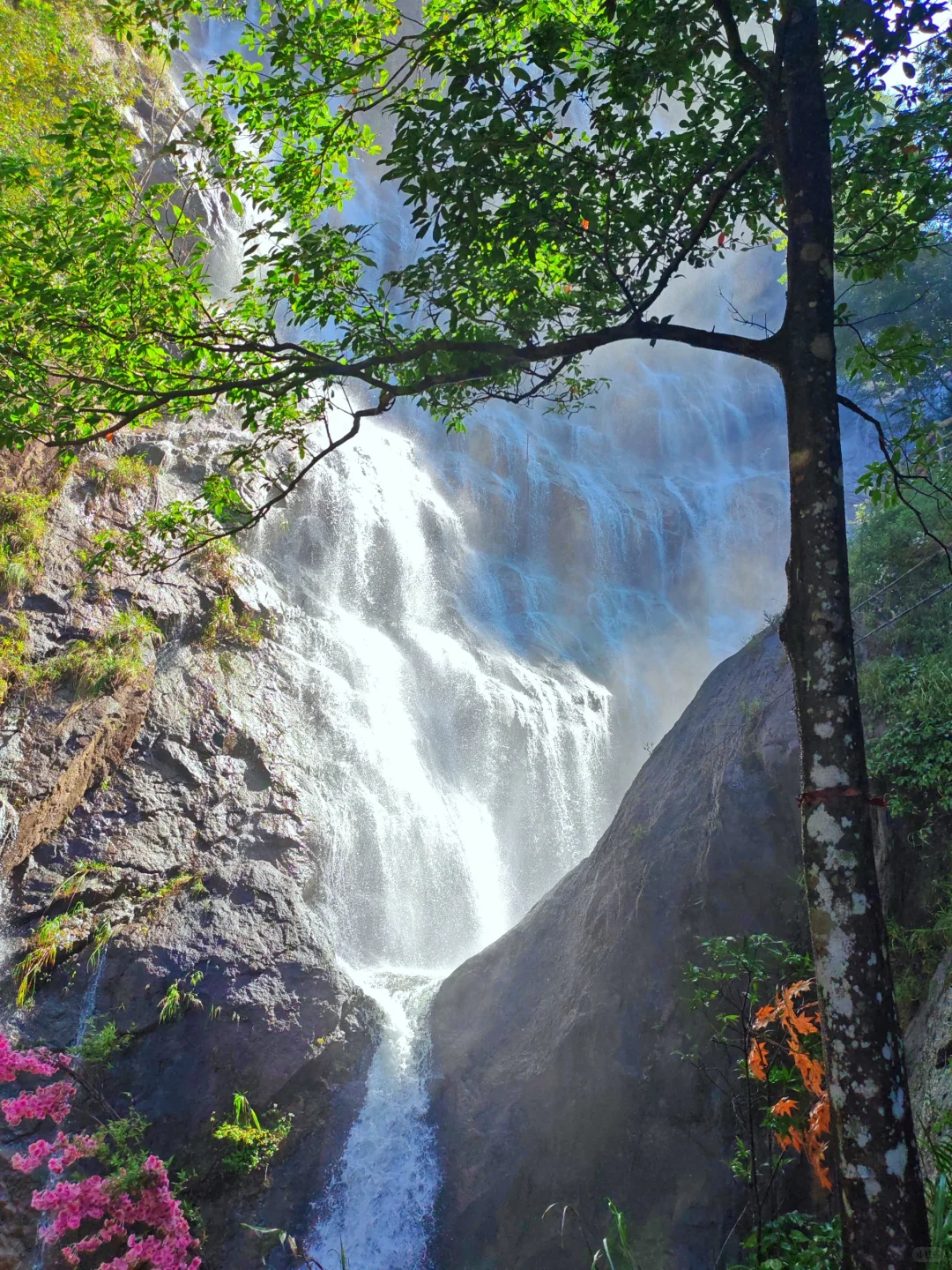 广州，你有这样的瀑布怎么没听你说过