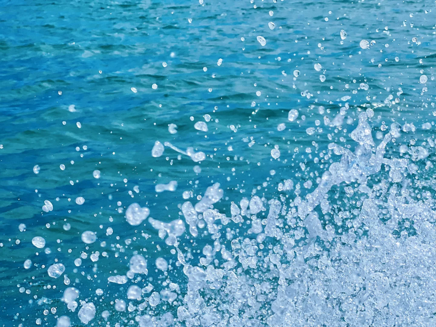 今天的天文台绝了啊