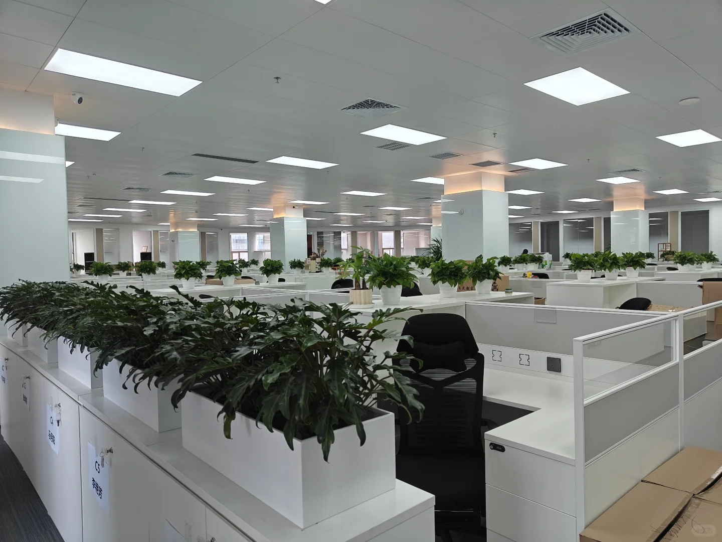 东莞最大规模律所的新家，提前剧透！