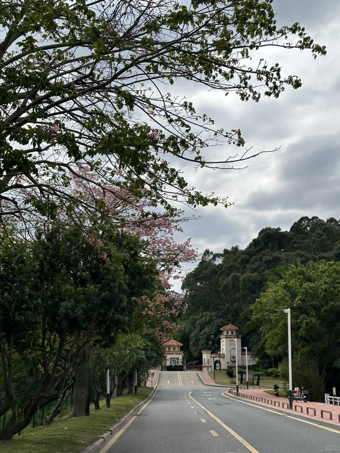 东莞 | 找到了zui适合散步的绿道🌿