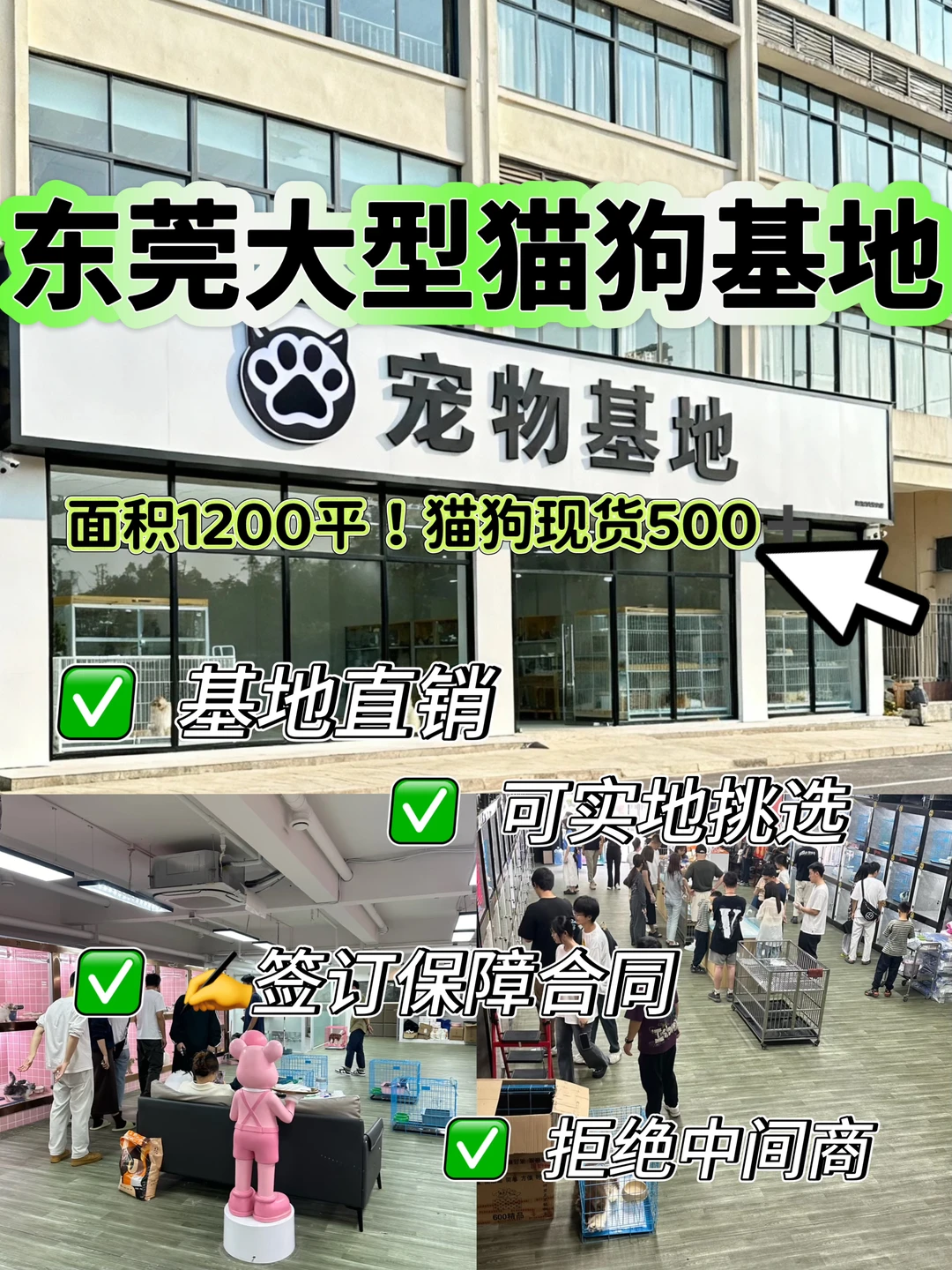 东莞铲屎官狂喜！1200㎡宠物基地直购