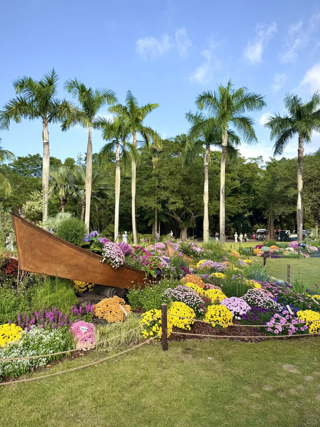 以为广州的菊花展够美了，直到我去了深圳……