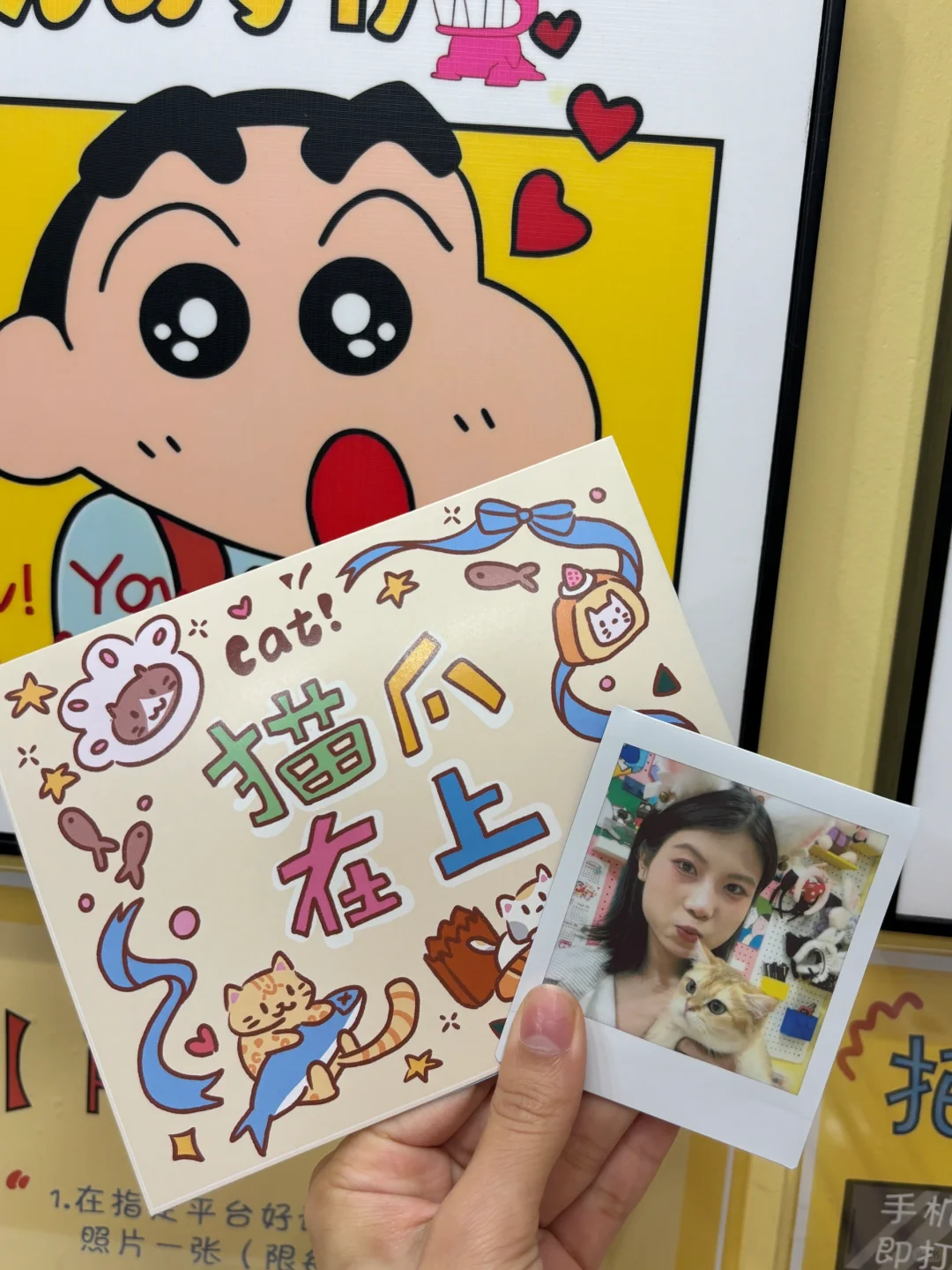 广州｜发现一家超出片的撸猫馆～！！